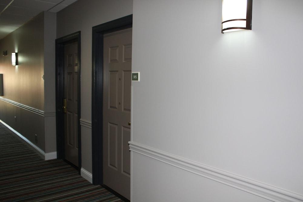 Country Inn & Suites By Radisson, Tampa Airport North, Fl Buitenkant foto