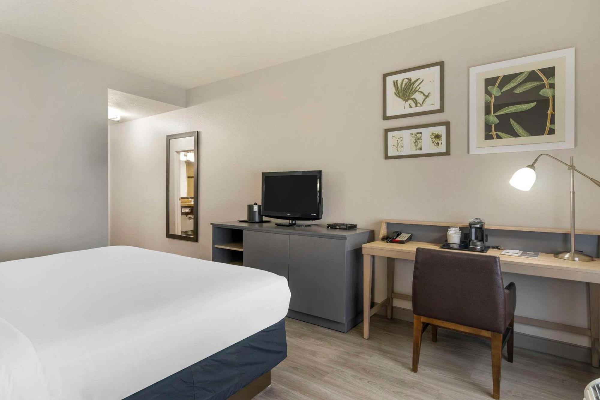 Country Inn & Suites By Radisson, Tampa Airport North, Fl Buitenkant foto