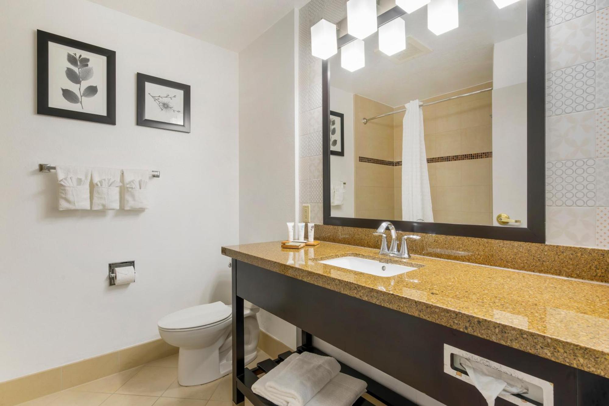 Country Inn & Suites By Radisson, Tampa Airport North, Fl Buitenkant foto