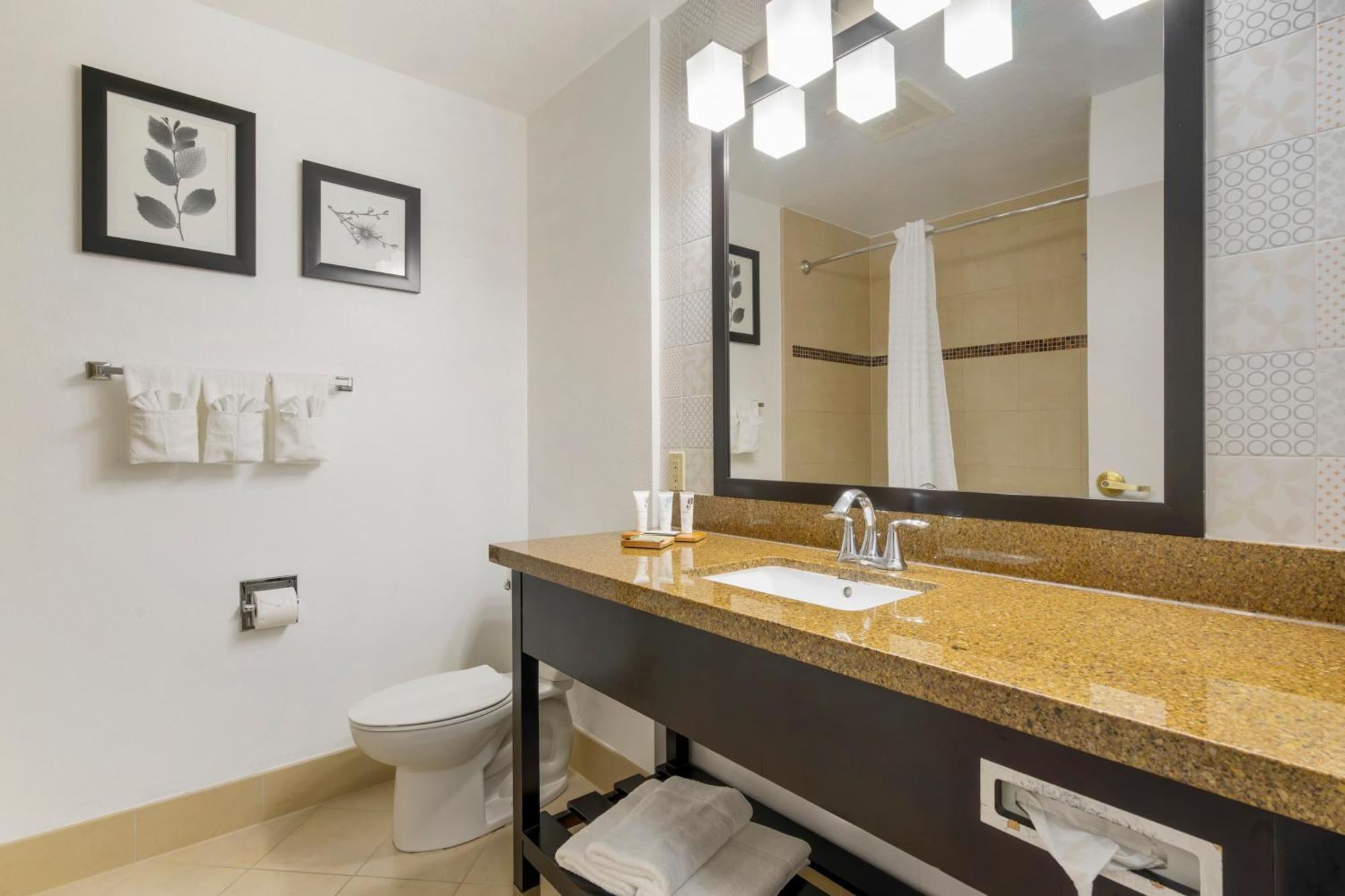 Country Inn & Suites By Radisson, Tampa Airport North, Fl Buitenkant foto