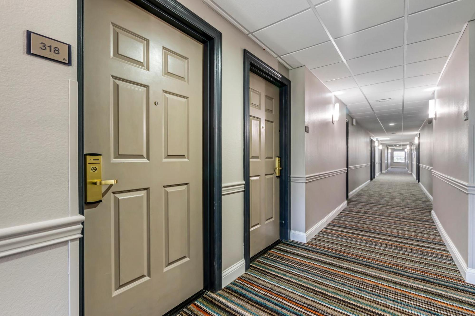 Country Inn & Suites By Radisson, Tampa Airport North, Fl Buitenkant foto